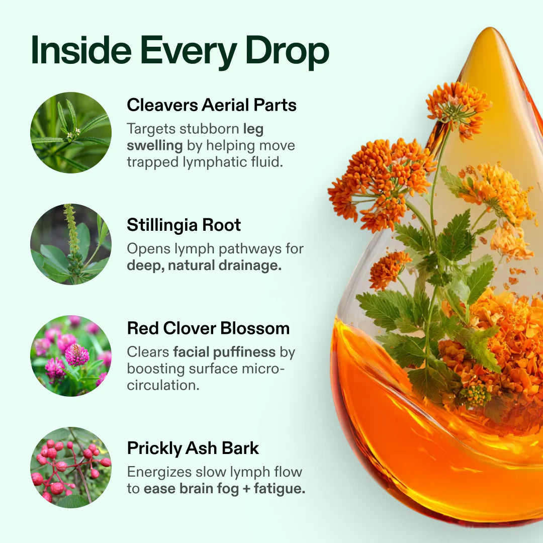 Luminare Three-Root Lymphatic Drops