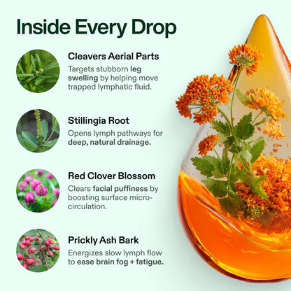Luminare Three-Root Lymphatic Drops